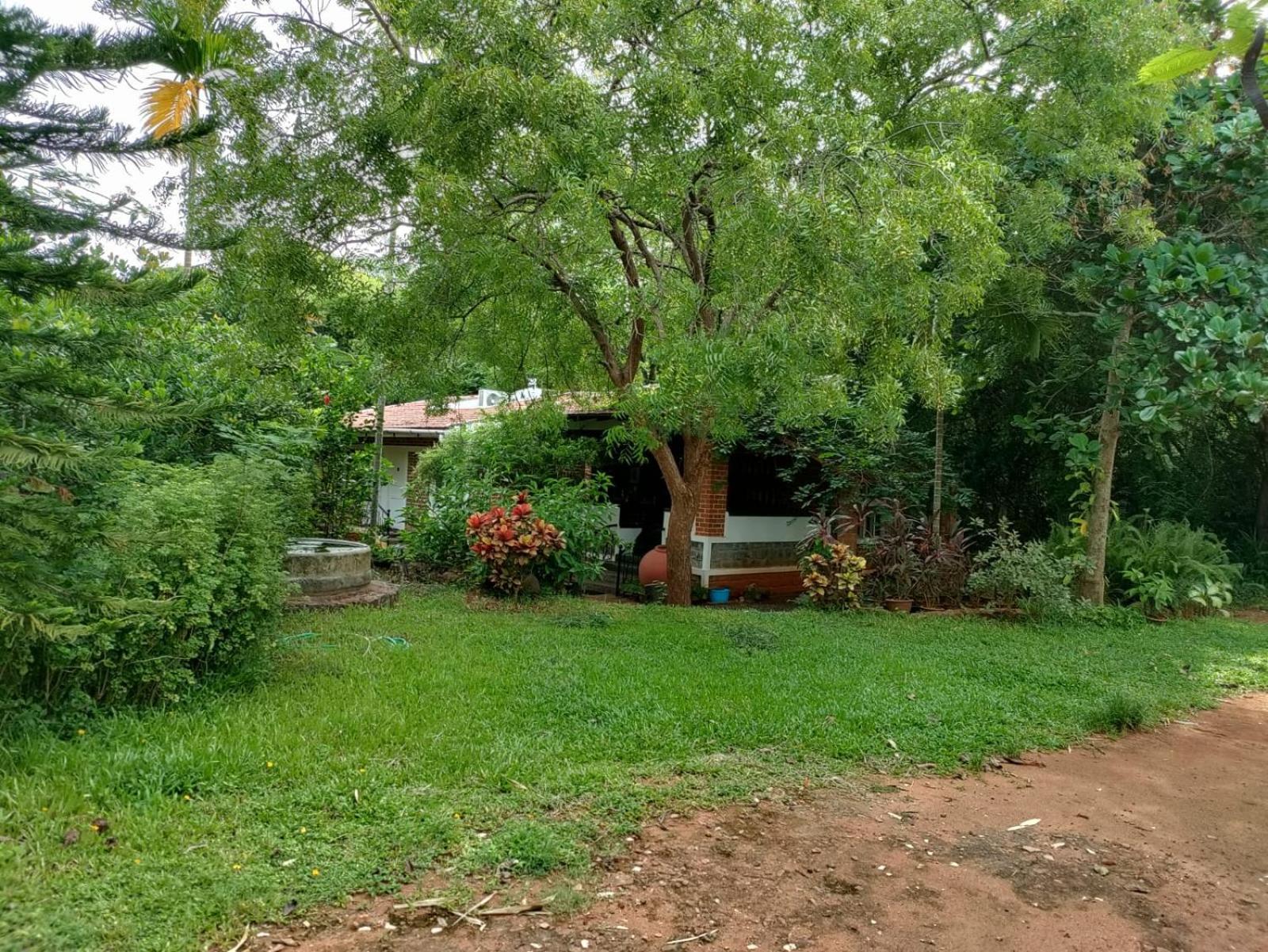 Inn Pondiville Forest Retreat Pondicherry Luaran gambar