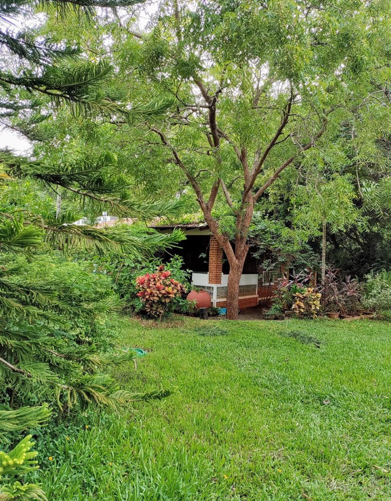 Inn Pondiville Forest Retreat Pondicherry Luaran gambar