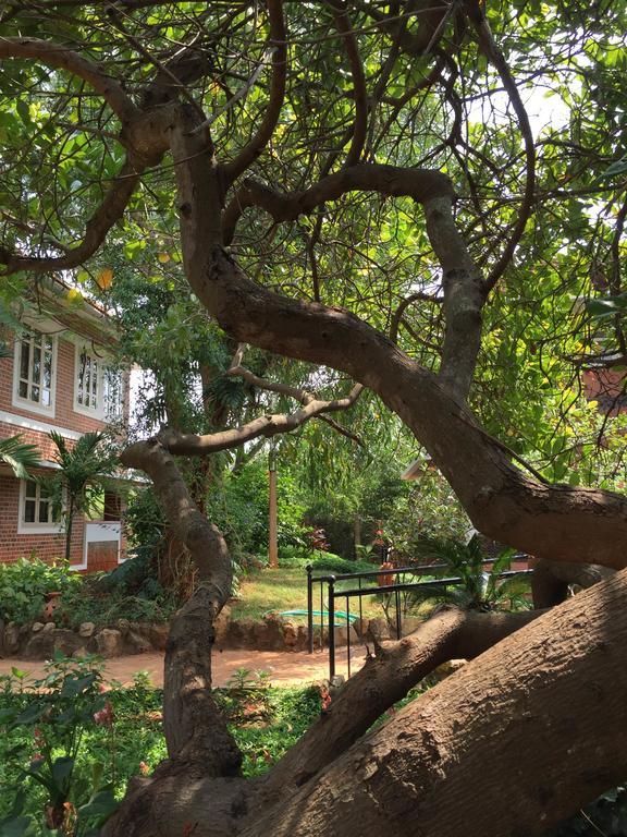 Inn Pondiville Forest Retreat Pondicherry Luaran gambar