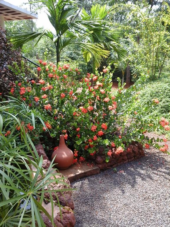 Inn Pondiville Forest Retreat Pondicherry Luaran gambar